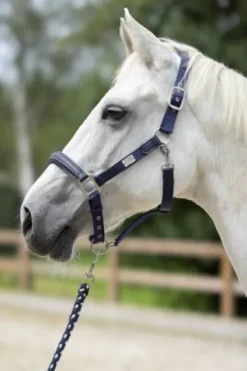 Licol aruba Licols Et Longes