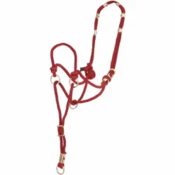 Clearance Licol Be Nice USA Licols Et Longes