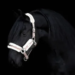 Online Licol Be Tempted - Nougat Mousse Licols Et Longes