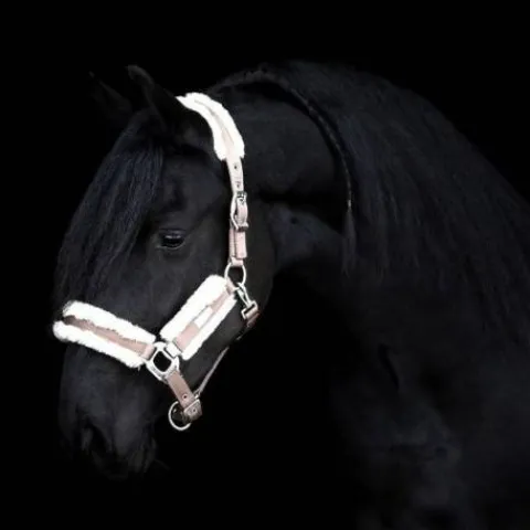 Online Licol Be Tempted - Nougat Mousse Licols Et Longes