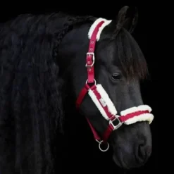 Best Licol Be Tempted - Cherry Milkshake Licols Et Longes