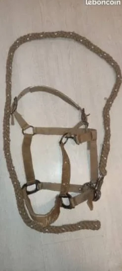 Best licol beige Licols Et Longes