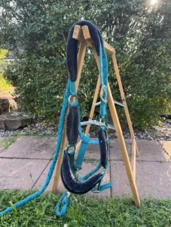 Best Licol bleu Licols Et Longes