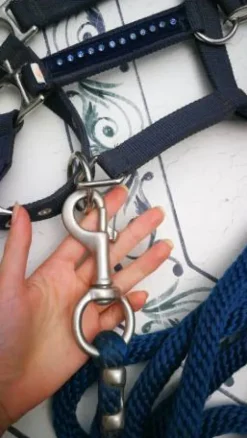 Discount Licol bleu marine à strasse Licols Et Longes