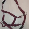 Outlet licol bordeaux Licols Et Longes