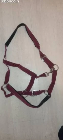Outlet licol bordeaux Licols Et Longes
