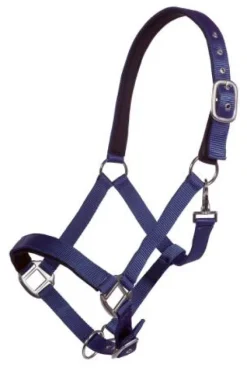 Licol Breakaway - - Velcro de sécurité Licols Et Longes