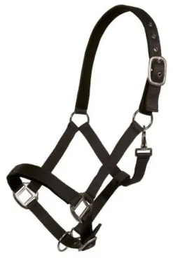 Licol Breakaway - - Velcro de sécurité Licols Et Longes