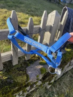 New Licol cheval Licols Et Longes