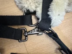 New Licol cheval Licols Et Longes