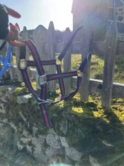 Online Licol cheval Licols Et Longes