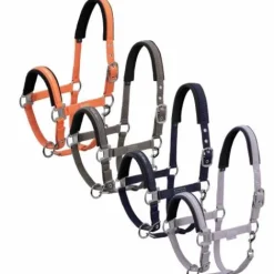 Clearance Licol Classic Sports 2022 - Licols Et Longes