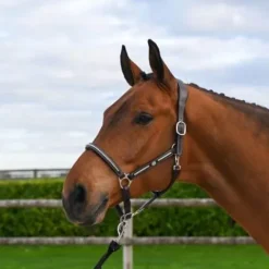 Hot Licol Clincher - Collection One Premium - Licols Et Longes