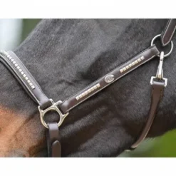 Hot Licol Clincher - Collection One Premium - Licols Et Longes