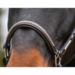 Hot Licol Clincher - Collection One Premium - Licols Et Longes