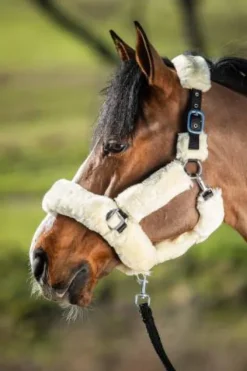 Hot Licol cosy en nylon avec mouton synthétique - Licols Et Longes