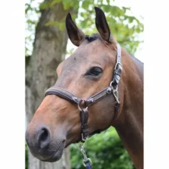 Sale Licol Crystal - Collection Week - Licols Et Longes