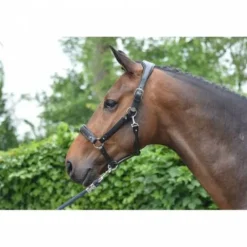 Sale Licol Crystal - Collection Week - Licols Et Longes