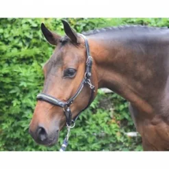 Sale Licol Crystal - Collection Week - Licols Et Longes