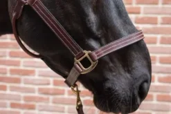 New Licol cuir - Licols Et Longes