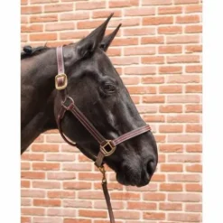 New Licol cuir - Licols Et Longes