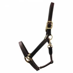 New Licol cuir - Licols Et Longes