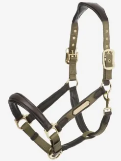 Online Licol cuir capella Licols Et Longes