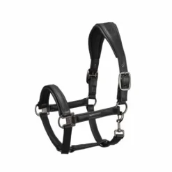 Outlet Licol cuir Essence 2022 - Licols Et Longes