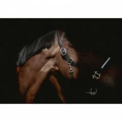 Hot Licol cuir Harmonie - PENELOPE COLELCTION Licols Et Longes