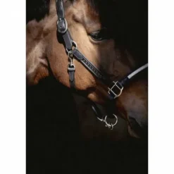 Hot Licol cuir Harmonie - PENELOPE COLELCTION Licols Et Longes