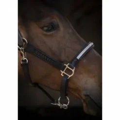 Hot Licol cuir Harmonie - PENELOPE COLELCTION Licols Et Longes