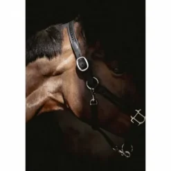 Hot Licol cuir Harmonie - PENELOPE COLELCTION Licols Et Longes