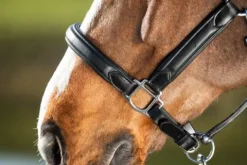 Best Licol cuir Wave Licols Et Longes