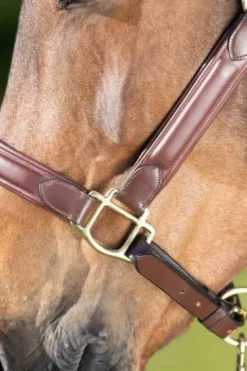 Best Licol cuir Wave Licols Et Longes