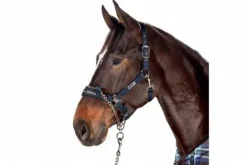 Outlet Licol de contrôle Performance - Licols Et Longes