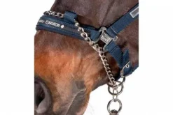 Outlet Licol de contrôle Performance - Licols Et Longes