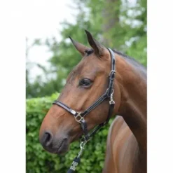 New Licol de pansage - Collection Week - Jump'in Licols Et Longes