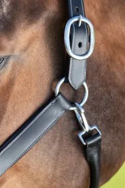 Online Licol de pansage Licols Et Longes