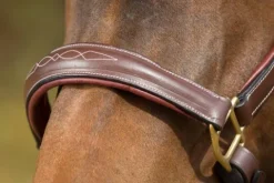 Outlet Licol de pansage marron Licols Et Longes