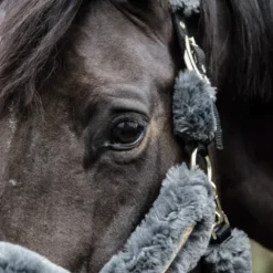 Clearance Licol de transport mouton - Kentucky Licols Et Longes