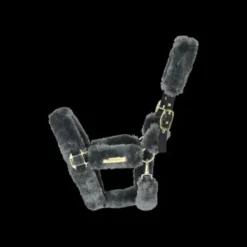 Clearance Licol de transport mouton - Kentucky Licols Et Longes