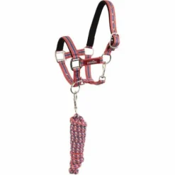 Licol doublé en néoprène avec longe - Licols Et Longes