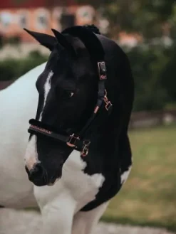 Online Licol doublé mouton et longe - DARK SKY Licols Et Longes