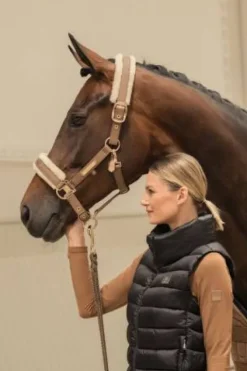 Outlet Licol doublé mouton FAUX LEATHER DOUBLE PIN FF Heritage 2024 - Licols Et Longes