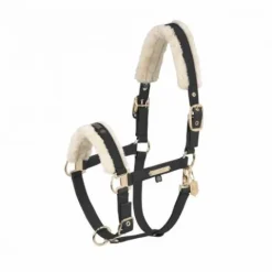 Outlet Licol doublé mouton FAUX LEATHER DOUBLE PIN FF Heritage 2024 - Licols Et Longes