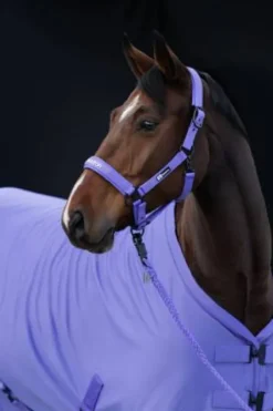 New Licol Double Pin Dynamic 2024 - Licols Et Longes