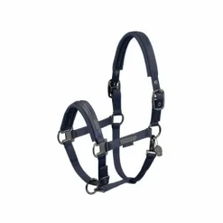 Online Licol Double Pin Glossy Crystal PLATINUM 2024 - Licols Et Longes