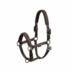 Online Licol Double Pin Glossy Crystal PLATINUM 2024 - Licols Et Longes