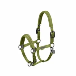 Online Licol Double Pin Glossy Crystal PLATINUM 2024 - Licols Et Longes