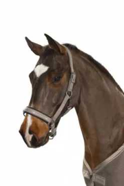 Discount Licol Douplepin Softshell Classic Sport S/S 2021 - Licols Et Longes